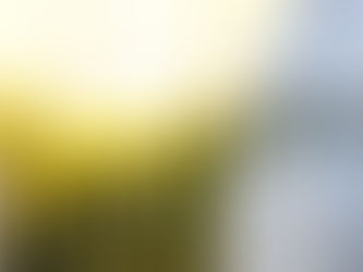 LEIRIA: GNR DETETA DESCARGA ILEGAL DE EFLUENTES PECUÁRIOS