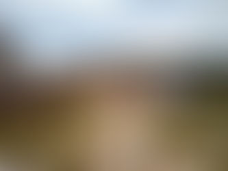 JÁ SE IMAGINOU A SER PASTOR POR UM DIA?