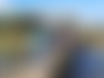 PASSEIO INTERPRETATIVO DÁ A CONHECER A LAGOA DE ÓBIDOS