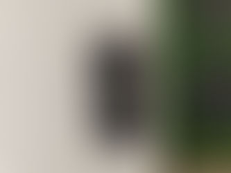 FREGUESIA DE S. JOÃO DA RIBEIRA E RIBEIRA S. JOÃO COLOCA CINZEIROS EM ESPAÇOS PÚBLICOS