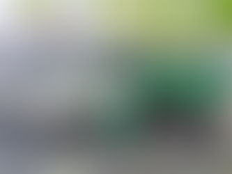 JUDOCAS DA CASA DO POVO DE RIO MAIOR COM BOM DESEMPENHO EM ESTARREJA