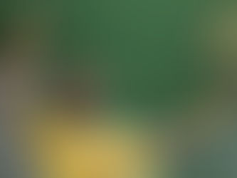 QUATRO DOS MELHORES TENISTAS BRASILEIROS VÃO ESTAGIAR EM RIO MAIOR