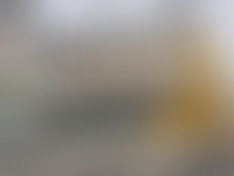ANDAM A INCENDIAR OS ECOPONTOS EM RIO MAIOR 