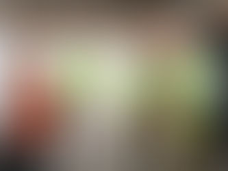 INVESTIDORES PRIVADOS APOSTAM EM SANTARÉM 