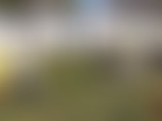 CADAVAL: “FÉRIAS NA ESCOLA” E “FÉRIAS JOVENS” – PÁSCOA 2023