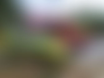 TOMAR: HOMEM MORRE ELETROCUTADO PELA MÁQUINA DE ORDENHAR VACAS