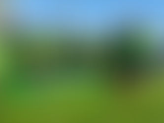 NSRM ORGANIZOU 7.ª EDIÇÃO DO TORNEIO ALBINO AGUIAR 