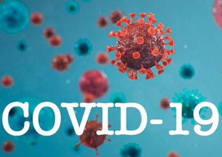 DOIS NOVOS CASOS E MAIS 6 RECUPERADOS HOJE NO CONCELHO DE RIO MAIOR