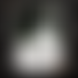 Owning Your Re-Emergence from Trauma