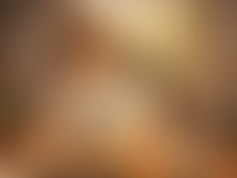 My Fast-Food Odyssey: Or, How I Paid $24 For A Cold Pickle