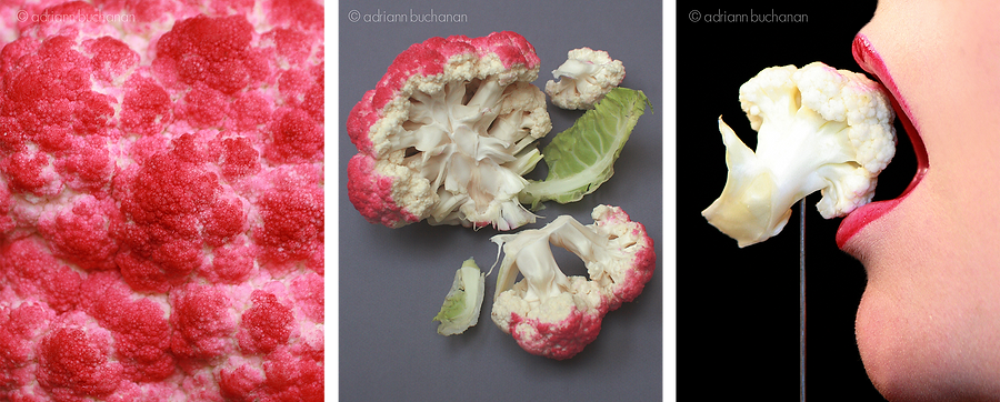 BITE-OF-BOSCO-TRIPTIC.png