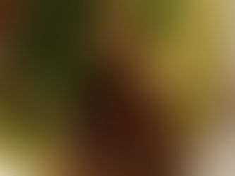 Roasted Chicken with Mushroom Gravy and Romanesco Puree