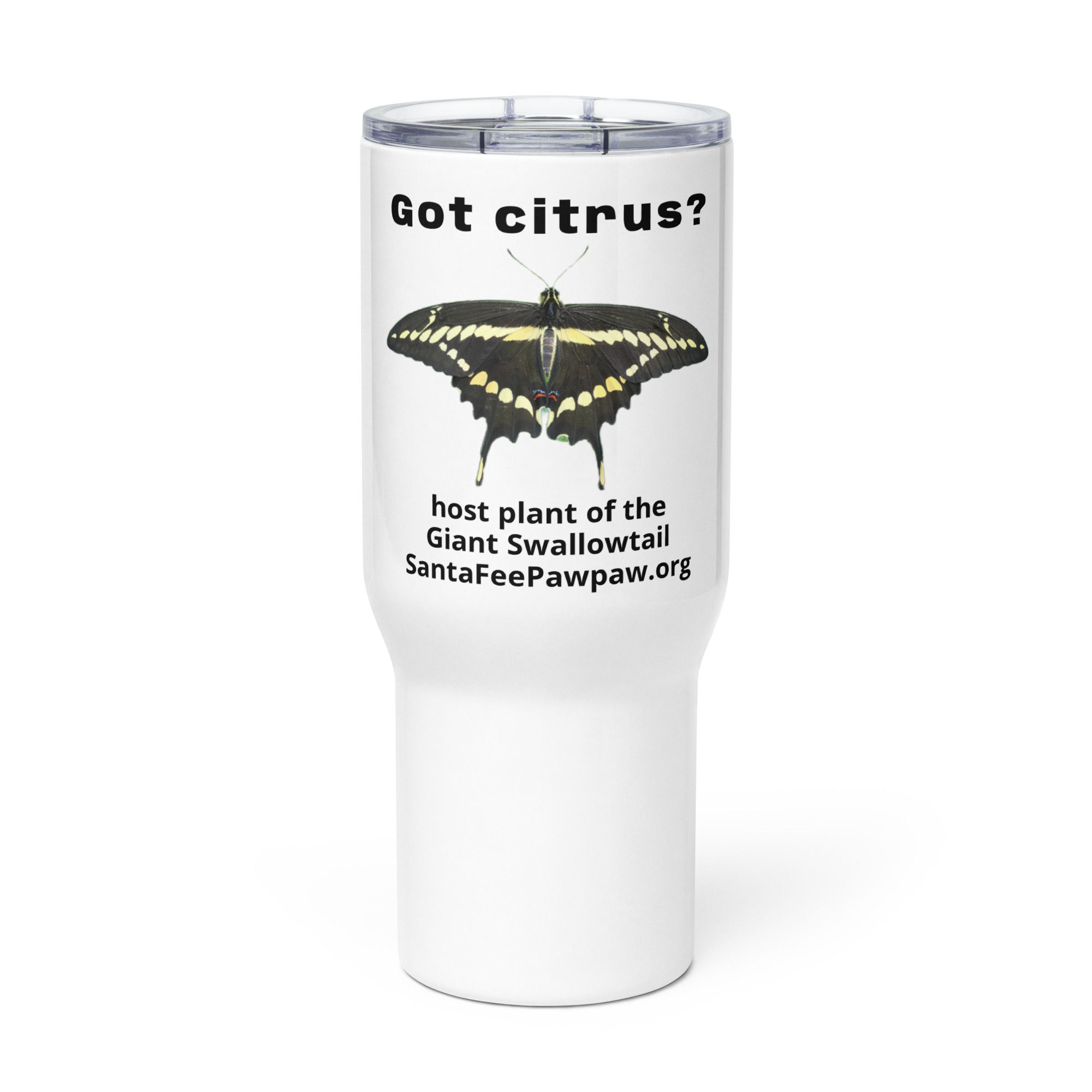 Arizona citrus travel mug