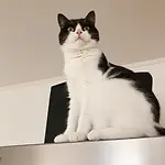 thoughts by the window