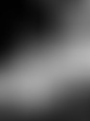 Operations Spotlight: Kortney Young