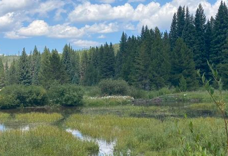 The Hidden Gems of Winter Park: Beyond the Slopes