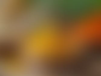 Top Trends in Ayurvedic Pet Care: Market Trends in Natural Pet Products