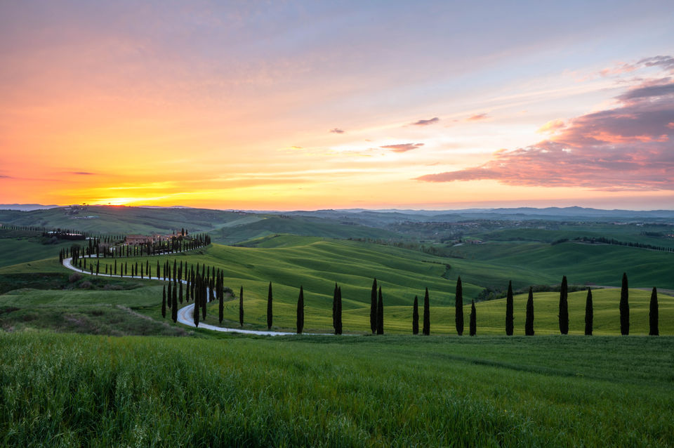 Tuscany (1 of 1)-24.jpg