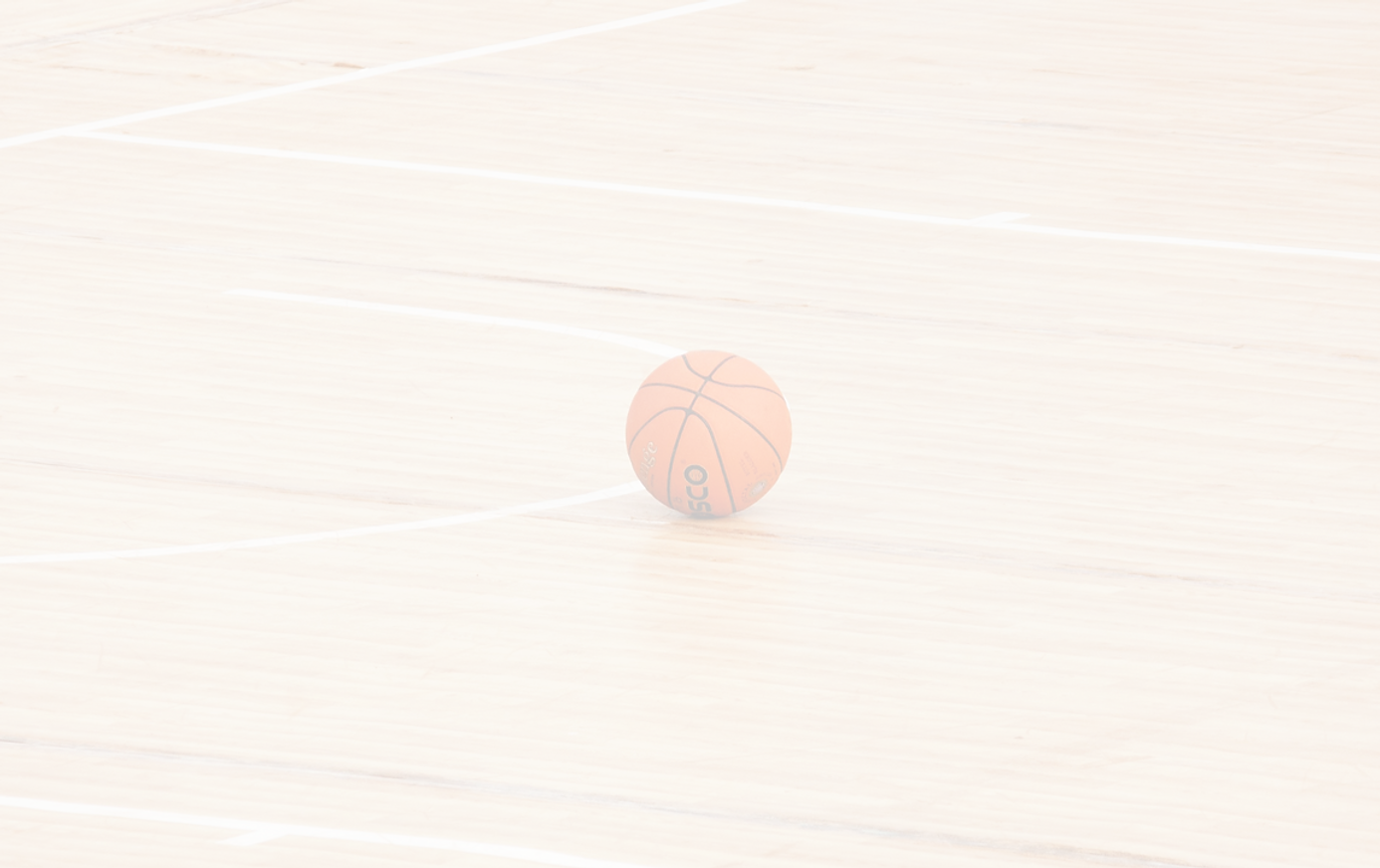 Basketball Court_edited_edited.png