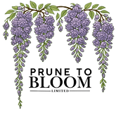 Our logo