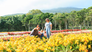 【2026】フリージアの香りに包まれて。今、この瞬間の「宝物」を残しませんか?