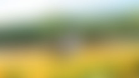 【2026】フリージアの香りに包まれて。今、この瞬間の「宝物」を残しませんか?