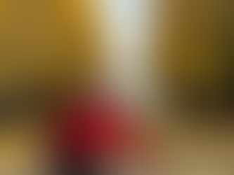 My Last Day in Tokyo