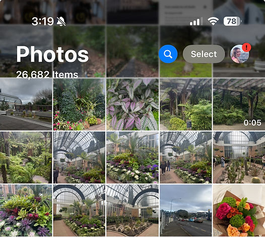 camera roll