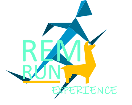 Logos RRX ecriture couleur.png