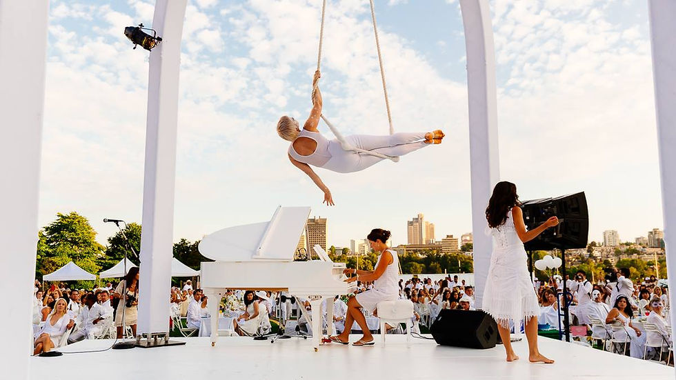 Diner en Blanc Orlando -Co-Organizer