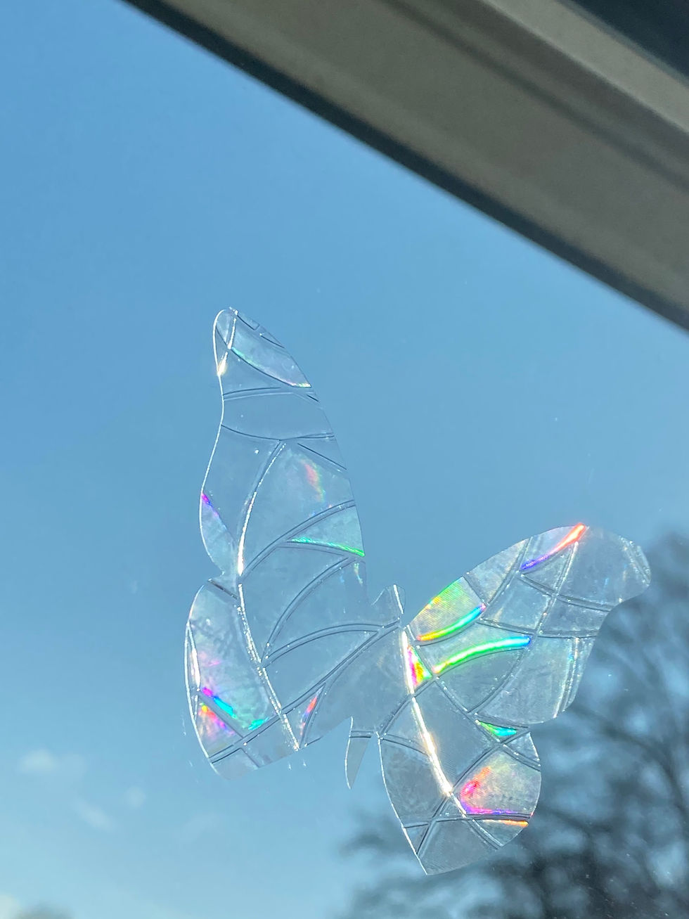 Miniaturbild: Fensterbild Schmetterling Sonnenfänger