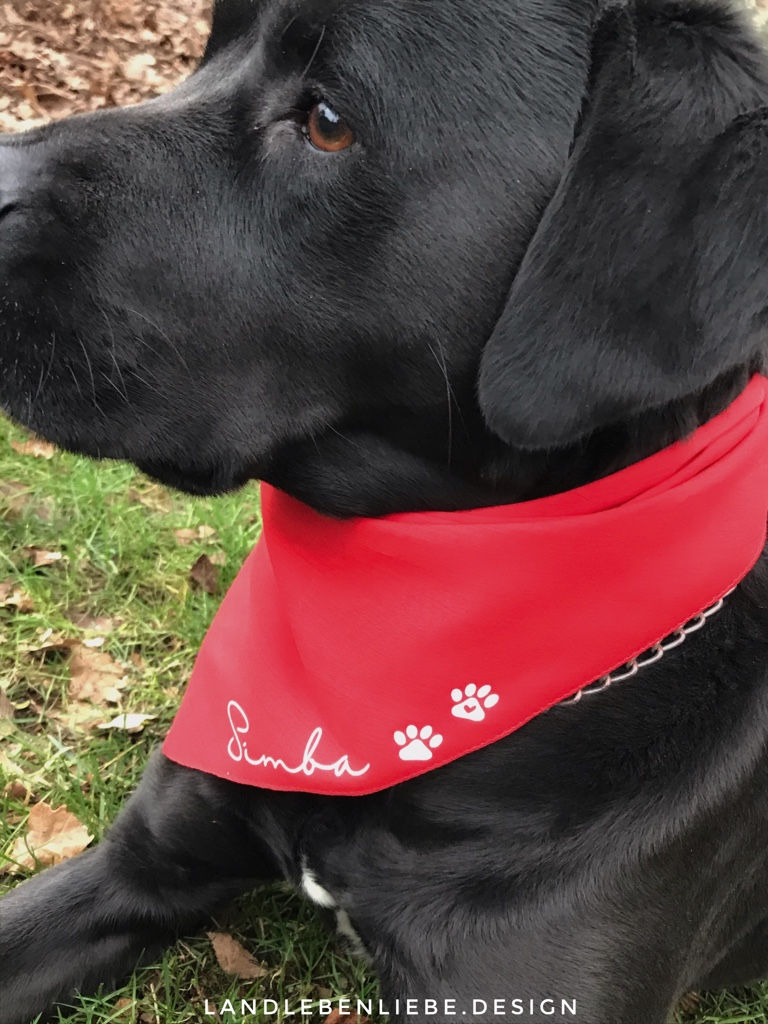 Miniaturbild: Doggy Bandana