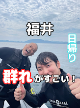 【福井・音海】はじめてのボートダイビング!