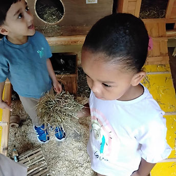 Children rabbits.jpg