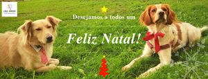 Votos de feliz Natal!