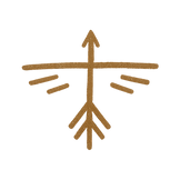 IMG_2355.png