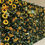 Thumbnail: The Sunflower Wall