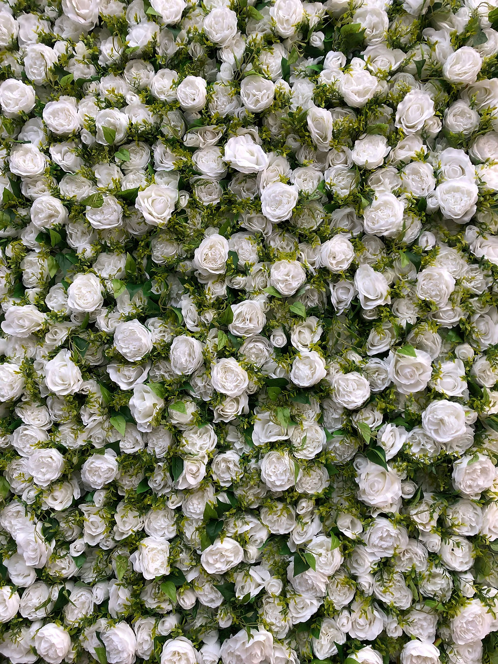 Thumbnail: white flower wall, rose flower wall, foliage flower wall