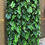 Thumbnail: tropical flower wall, green flower wall, foliage wall, grass wall, flower wall
