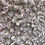 Thumbnail: white flowerwall white flower wall pale flowerwall pale flower wall rose flowerwall
