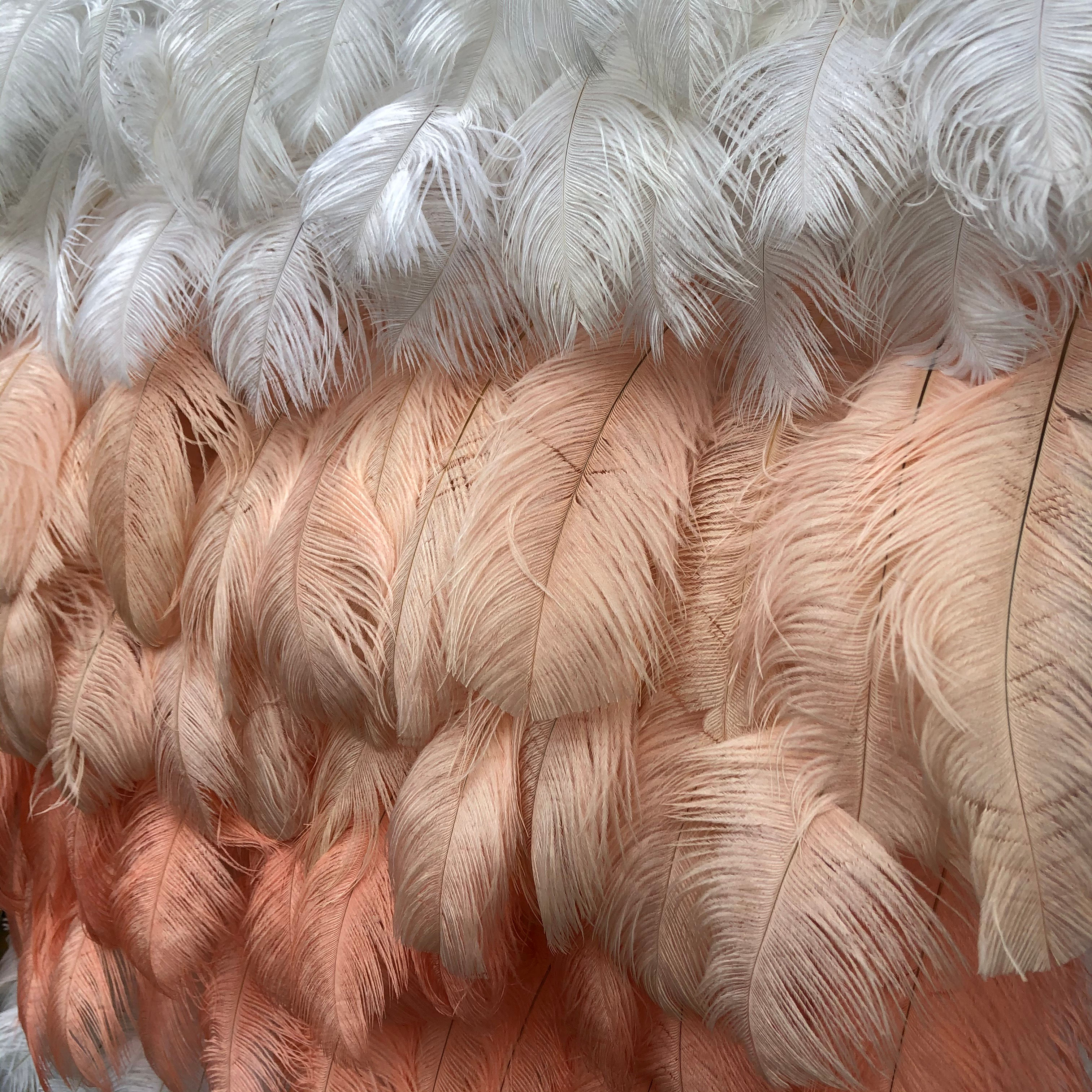 Feather Wall, Ombre Wall, Ombre Flower wall, Ombre backdrop, Pink Feather Wall, Flowerwall