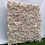 Thumbnail: white flowerwall white flower wall pale flowerwall pale flower wall rose flowerwall