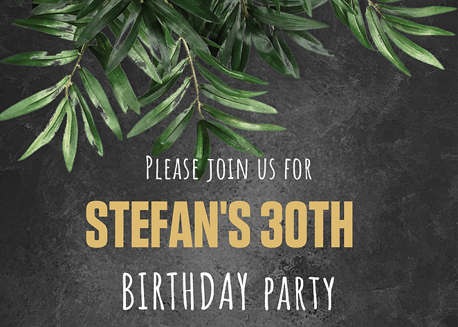 Stefan 30th birthday.png