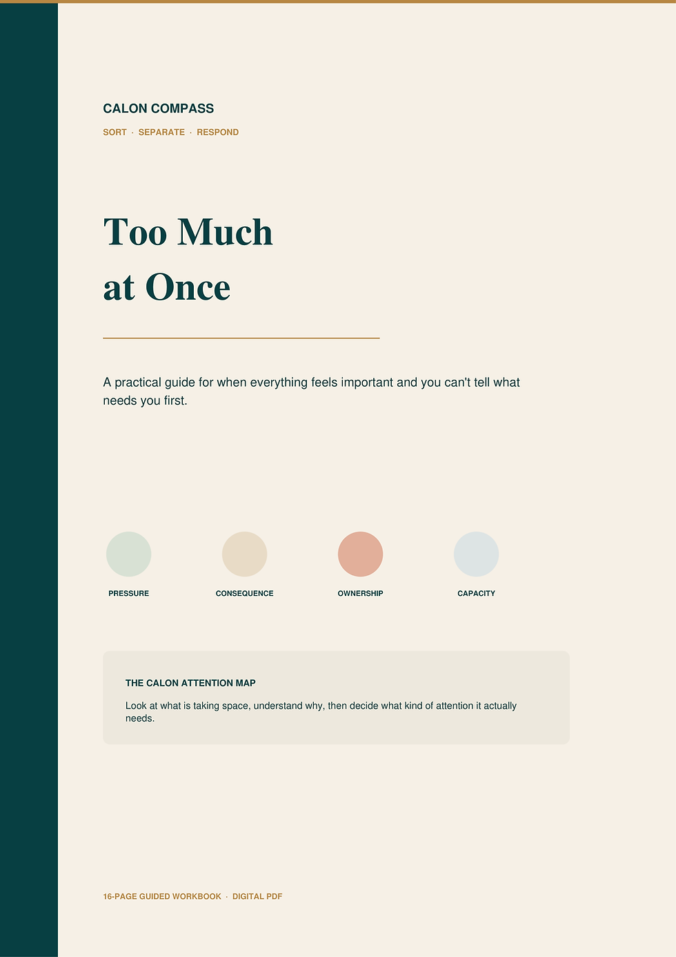 Too Much at Once workbook cover