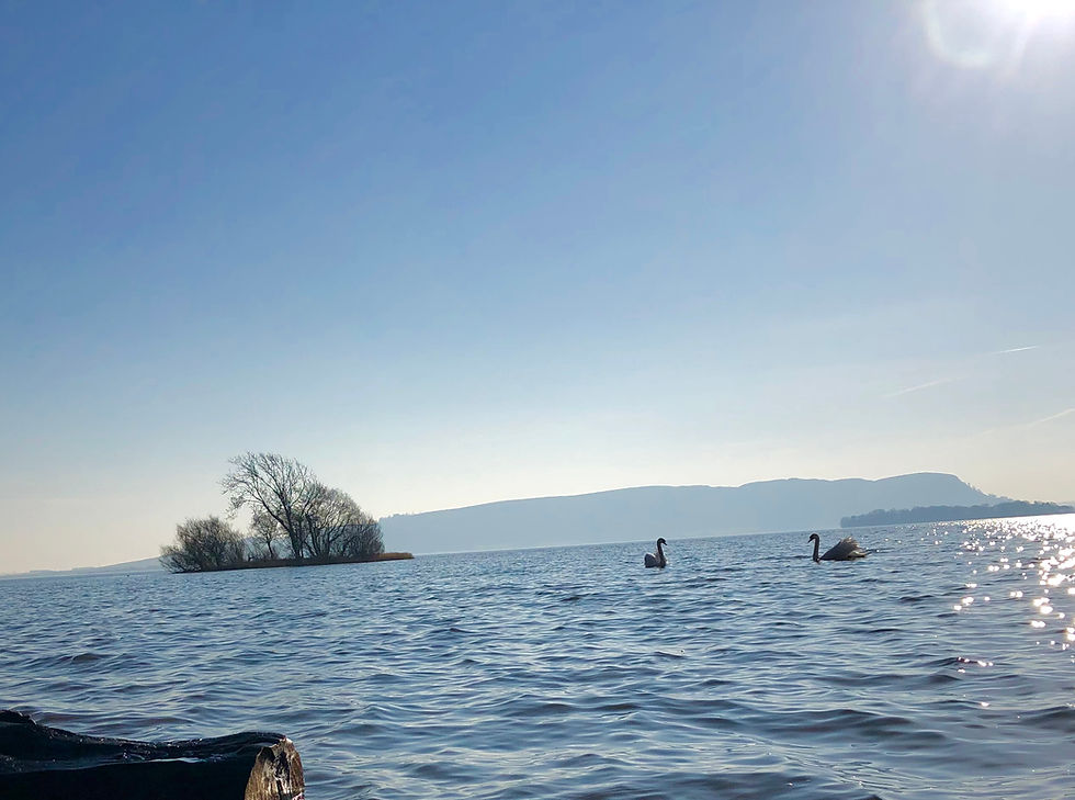 Loch Fishing Scotland
