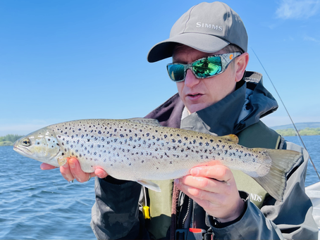 Wild Fish - Loch Leven, Scotland