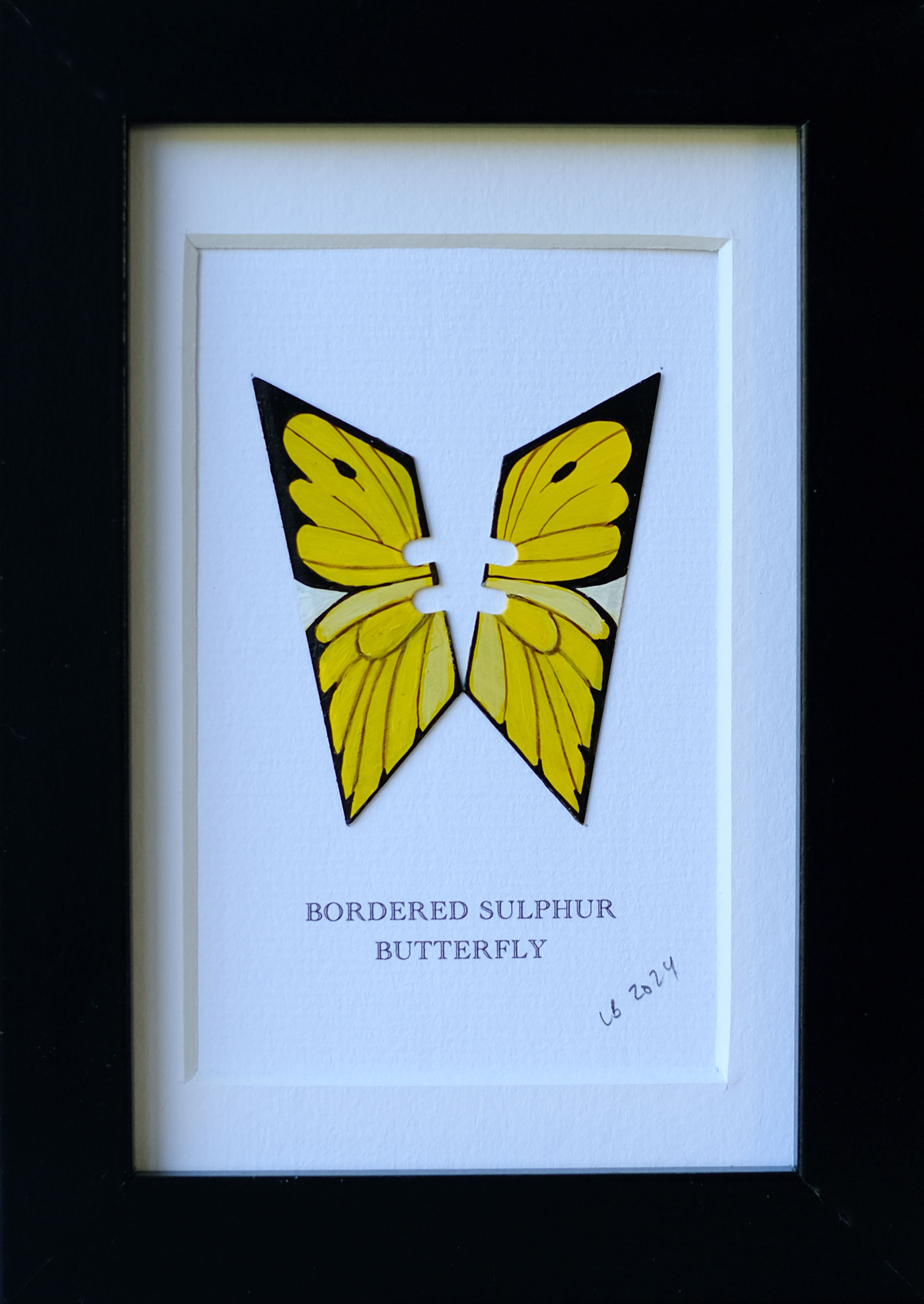BORDERED SULPHUR