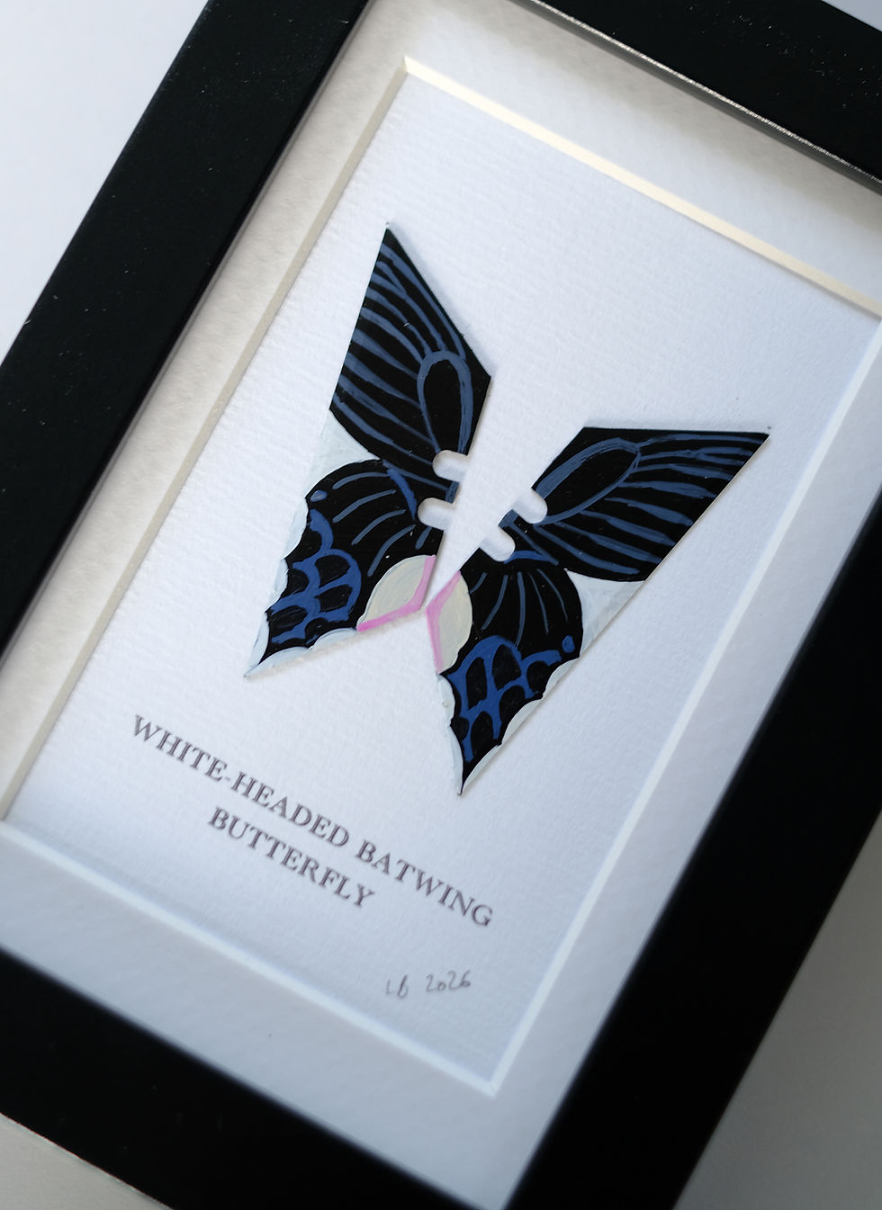 Thumbnail: WHITE HEADED BATWING
