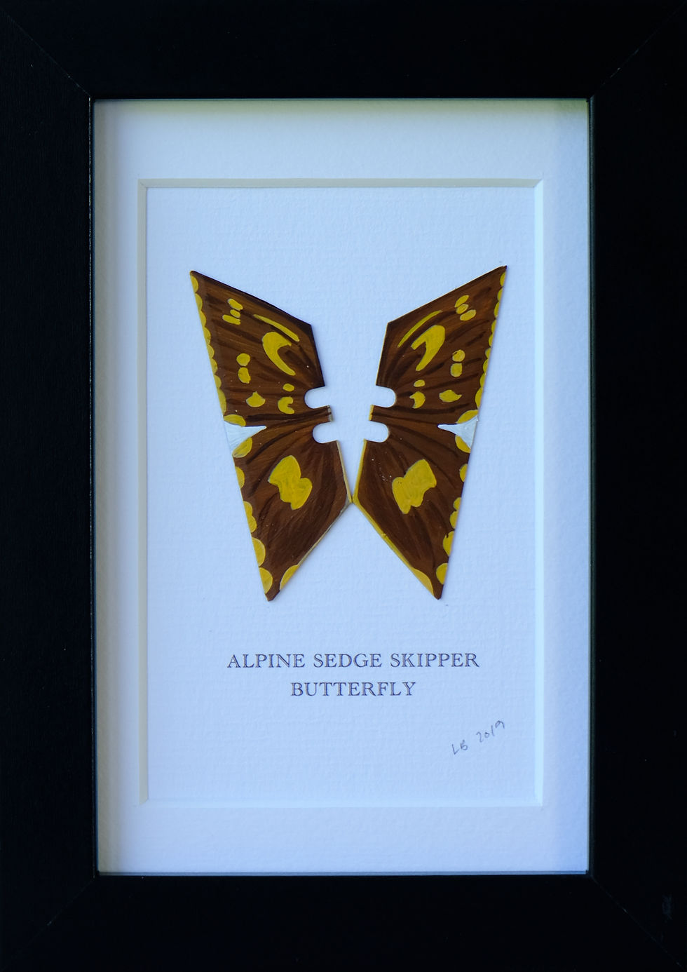 Thumbnail: ALPINE SEDGE SKIPPER