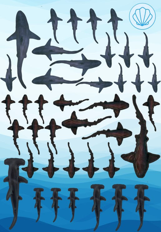 Thumbnail: Multi Shark Sticker Sheet